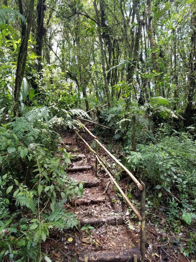 Escapadita Al Bosque Βίλα San Isidro  Εξωτερικό φωτογραφία