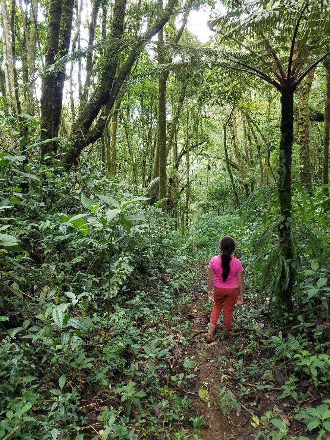 Escapadita Al Bosque Βίλα San Isidro  Εξωτερικό φωτογραφία